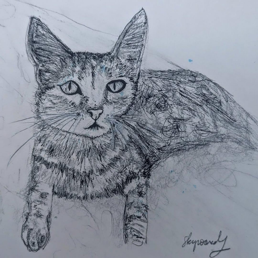 Commissioned Art Piece Hand-Drawn by SkywardSystem - Picture 3 of 16